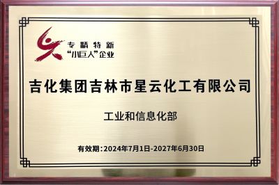 國家級“專精特新”小巨人企業